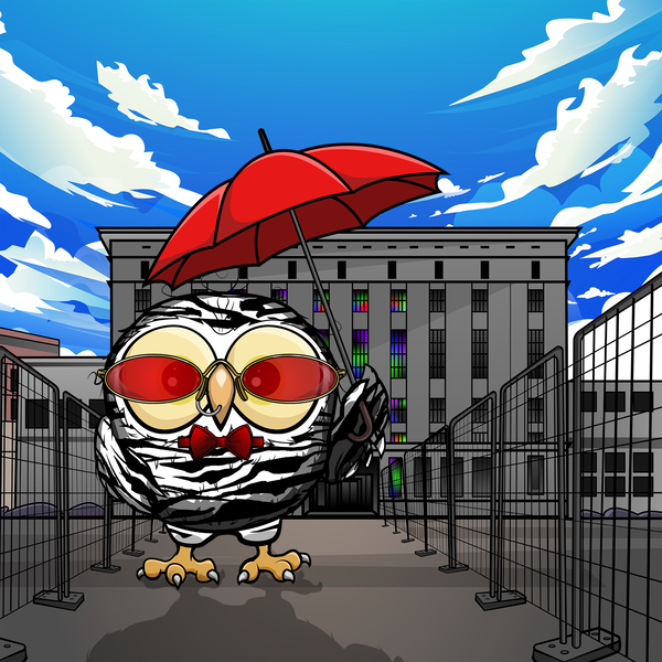 Image of cryptOOwl 048