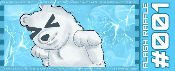 An image of RaffleBandz Flash Raffle 001