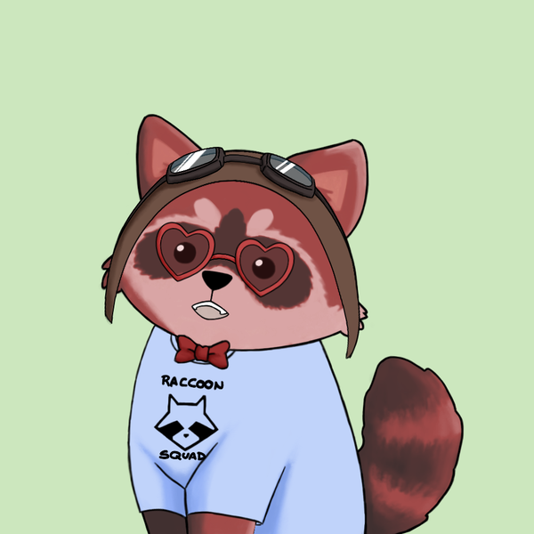 Image of Raccoon #56