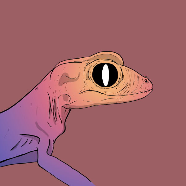 An image of Geko 0005