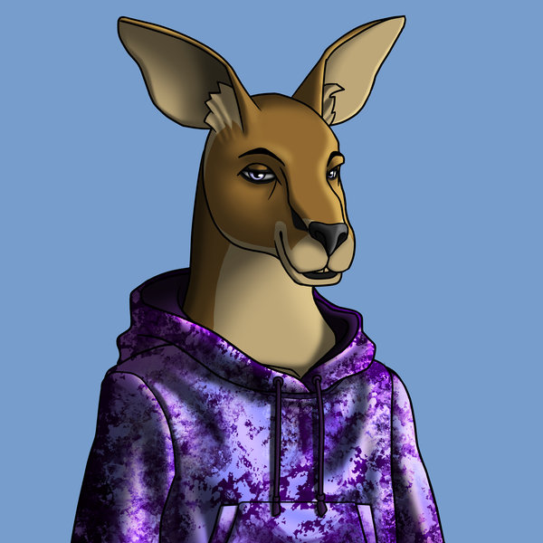 An image of AlgoKangaroo #8