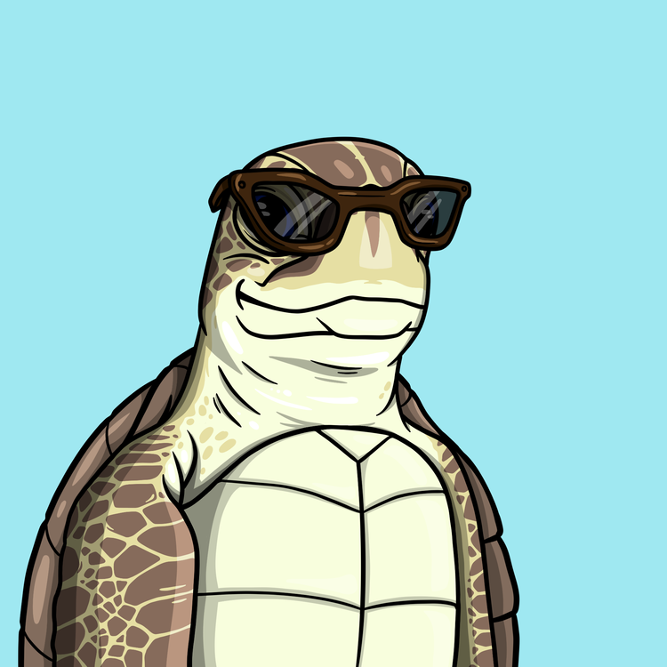 Image of Wildlife Warrior Turtle #53