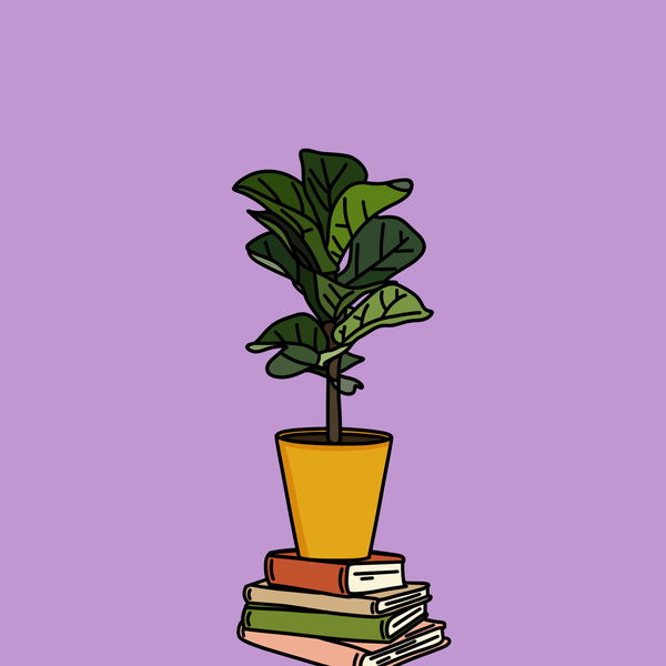 An image of Algo House Plant #0018