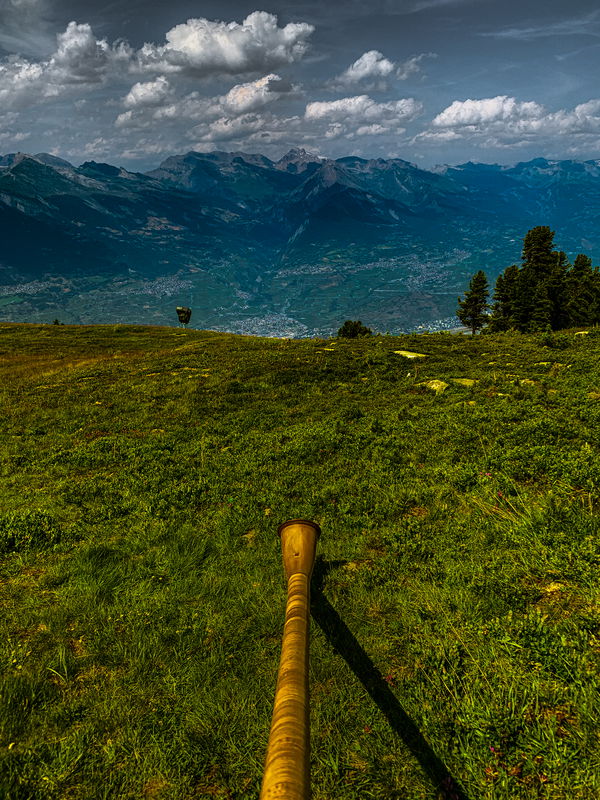 Image of 086 Alphorn