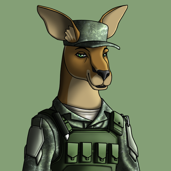 An image of AlgoKangaroo #7