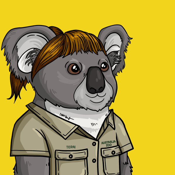 An image of Wildlife Warrior Koala #2