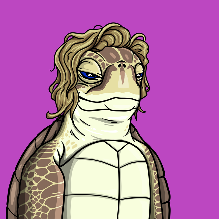 Image of Wildlife Warrior Turtle #52