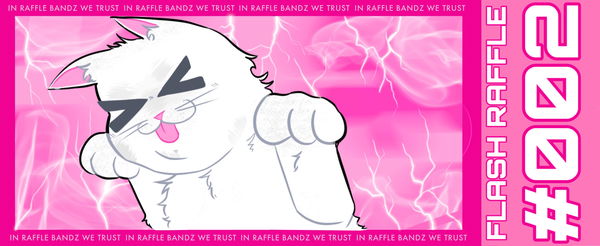 An image of RaffleBandz Flash Raffle 002