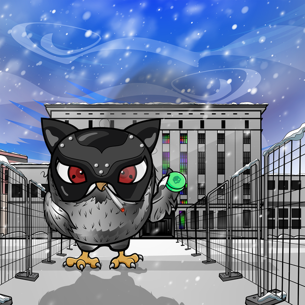 Image of cryptOOwl 055