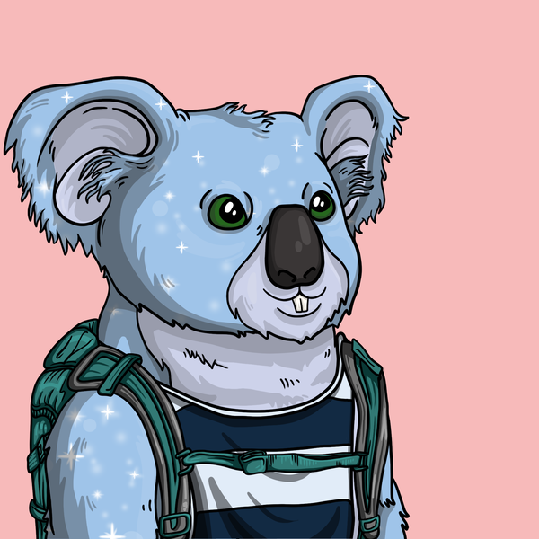 An image of Wildlife Warrior Koala #13