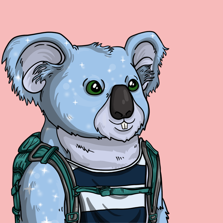 Image of Wildlife Warrior Koala #13