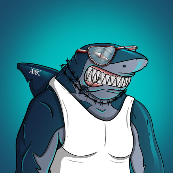 An image of AlgoShark #3