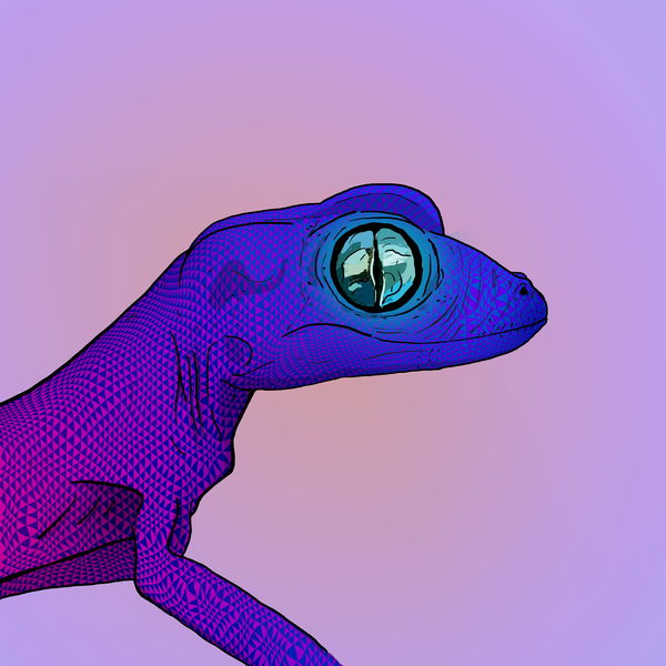 Image of Geko 0039