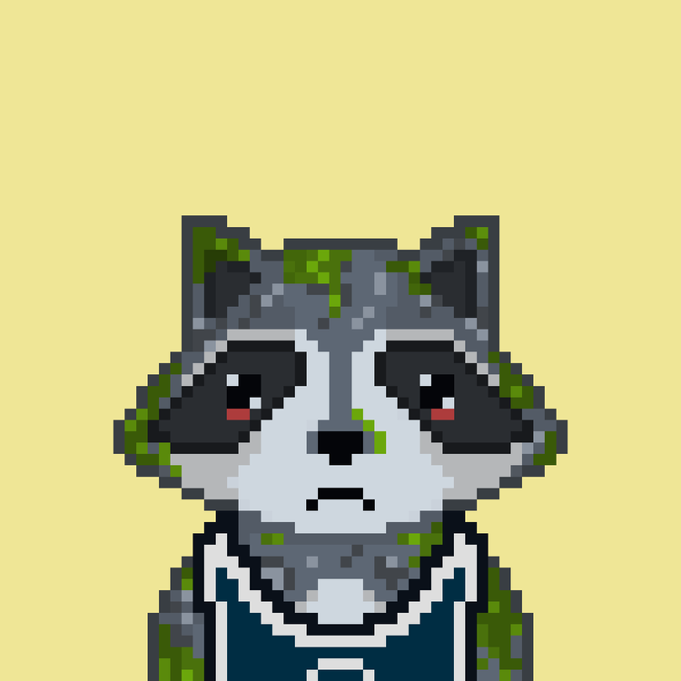 Image of Pixel Raccoon #10