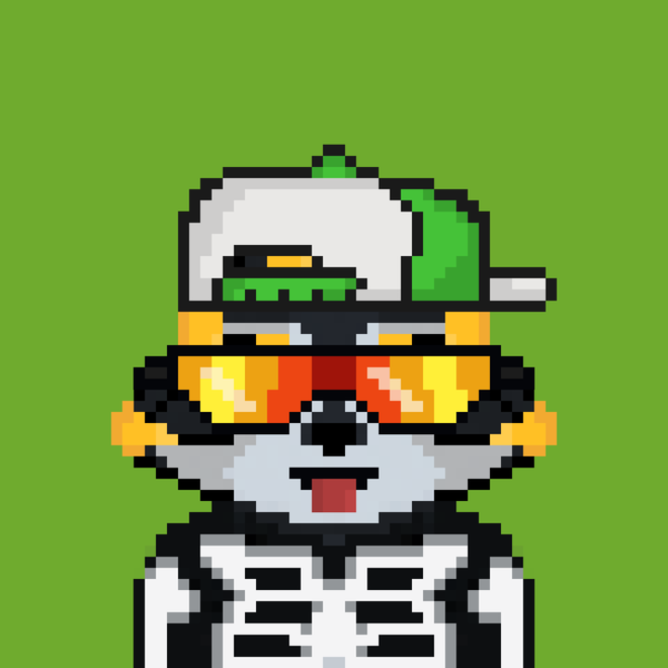 Image of Pixel Raccoon #1420