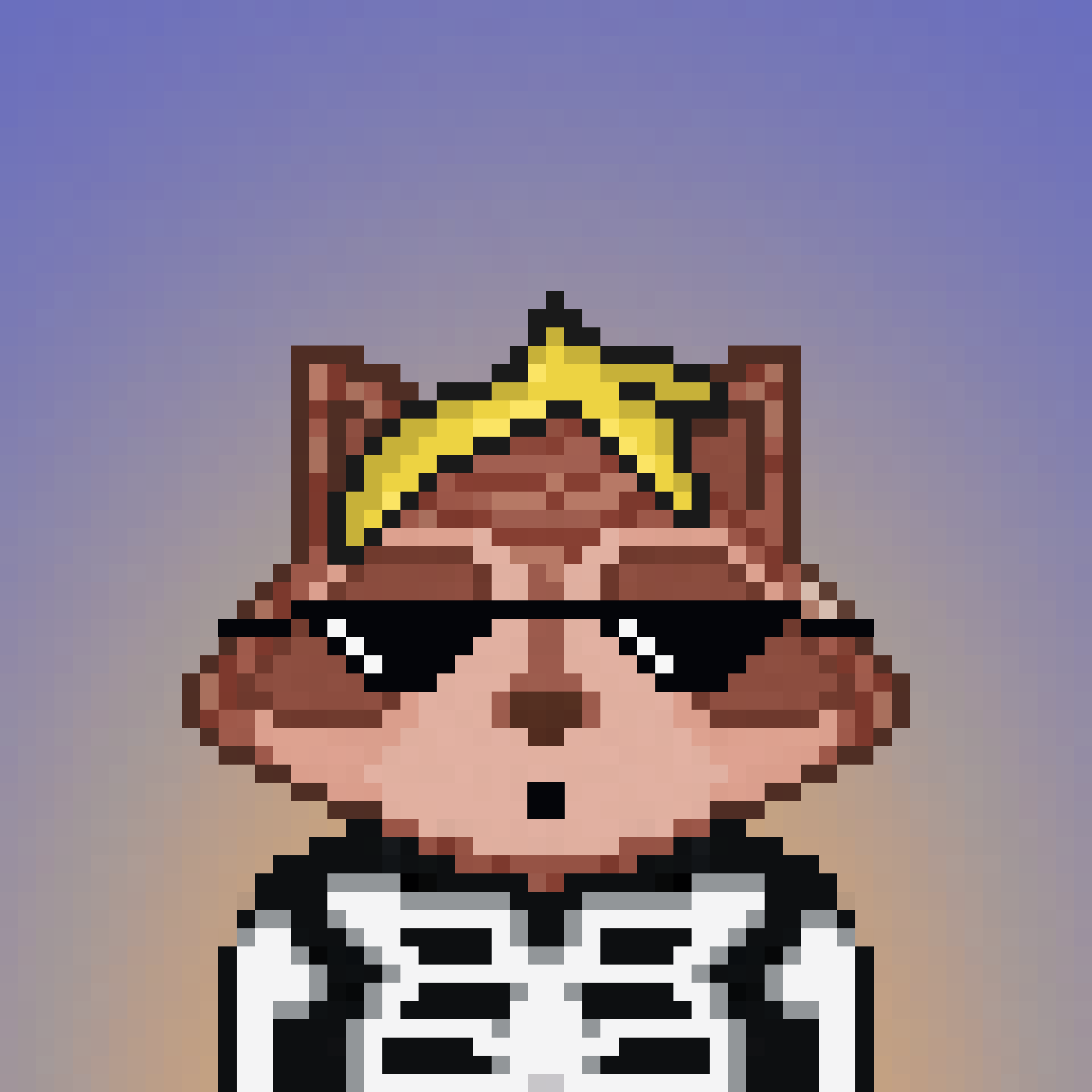 Pixel Raccoon #1551 NFT on Algorand