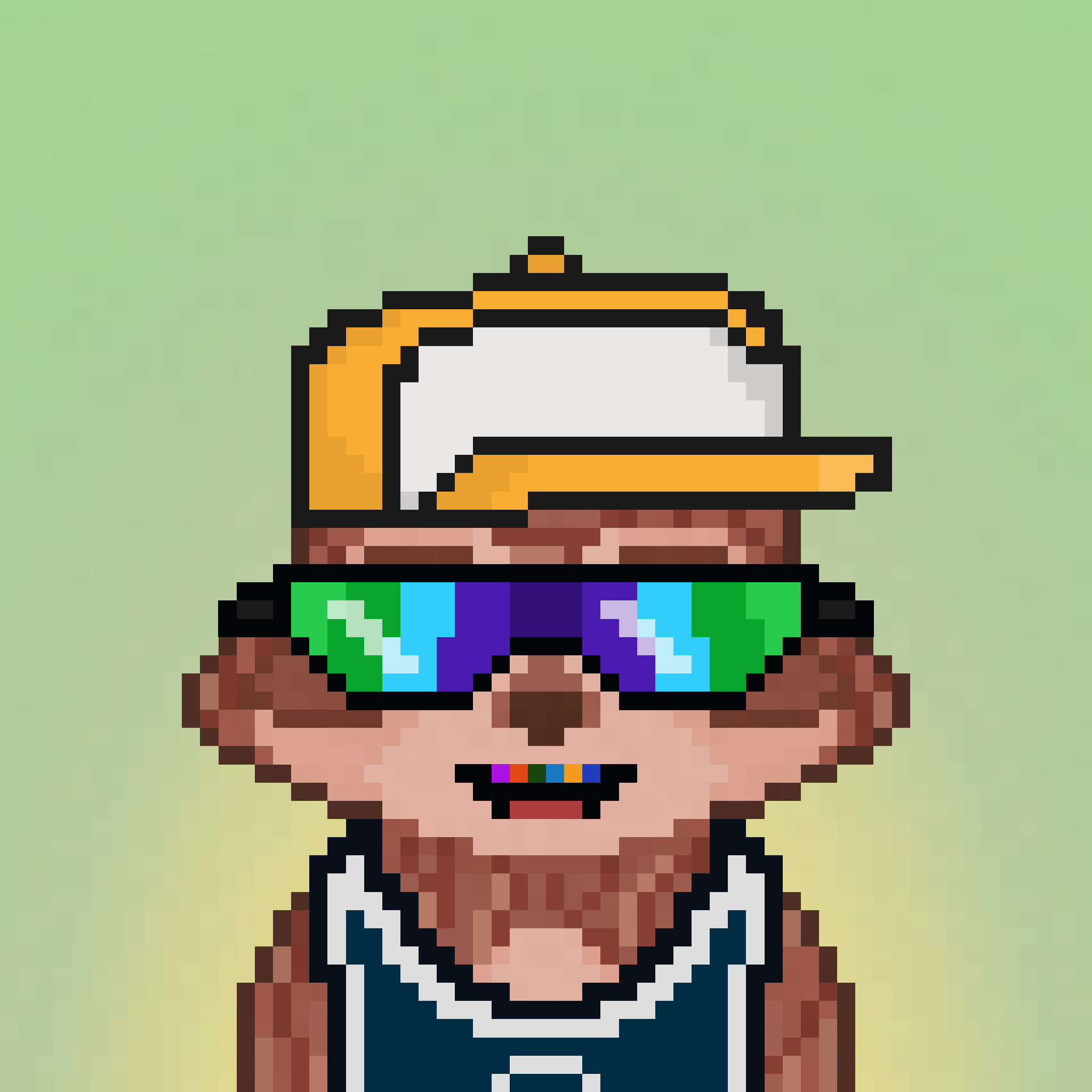 Pixel Raccoon #1554 NFT on Algorand