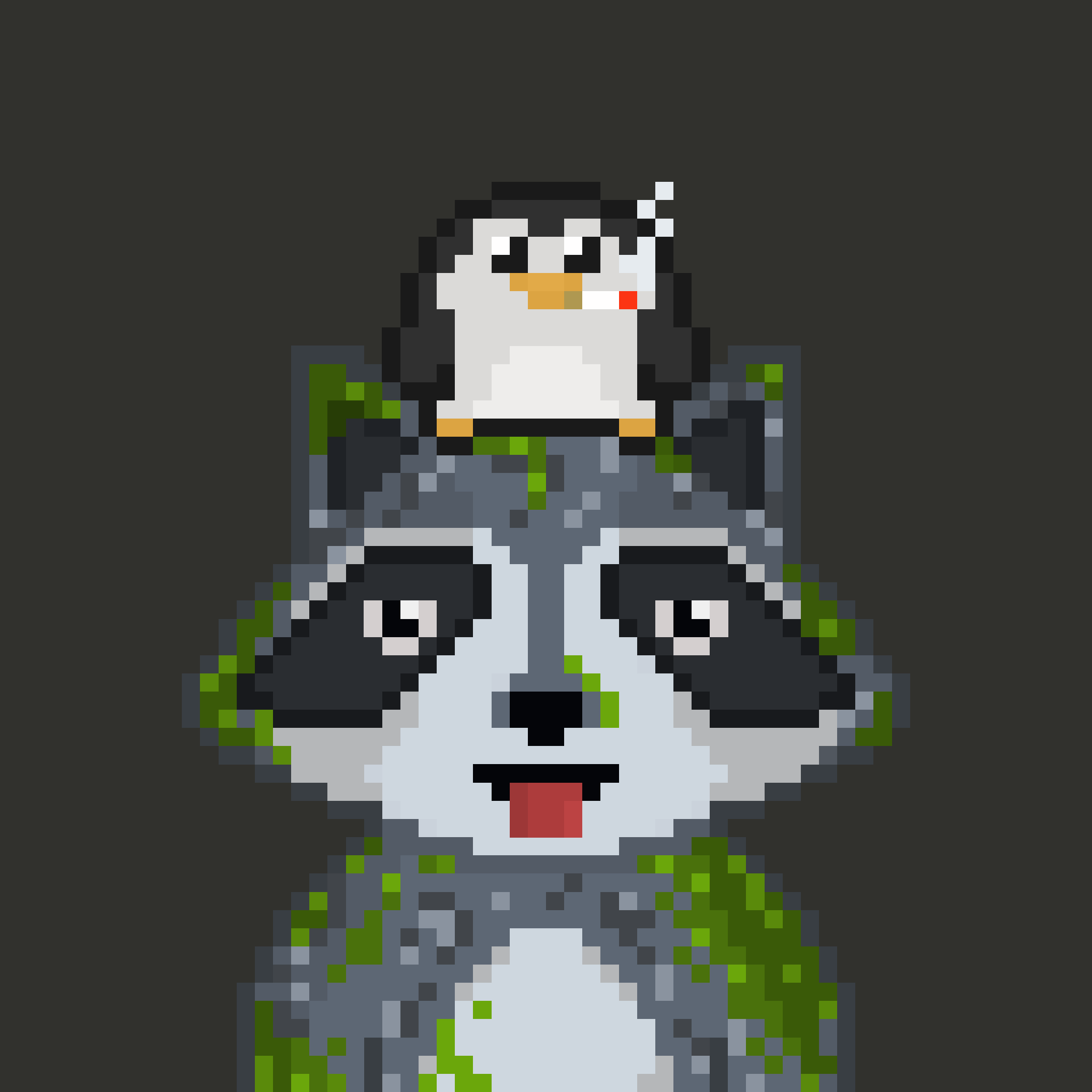 Pixel Raccoon #1565 NFT on Algorand