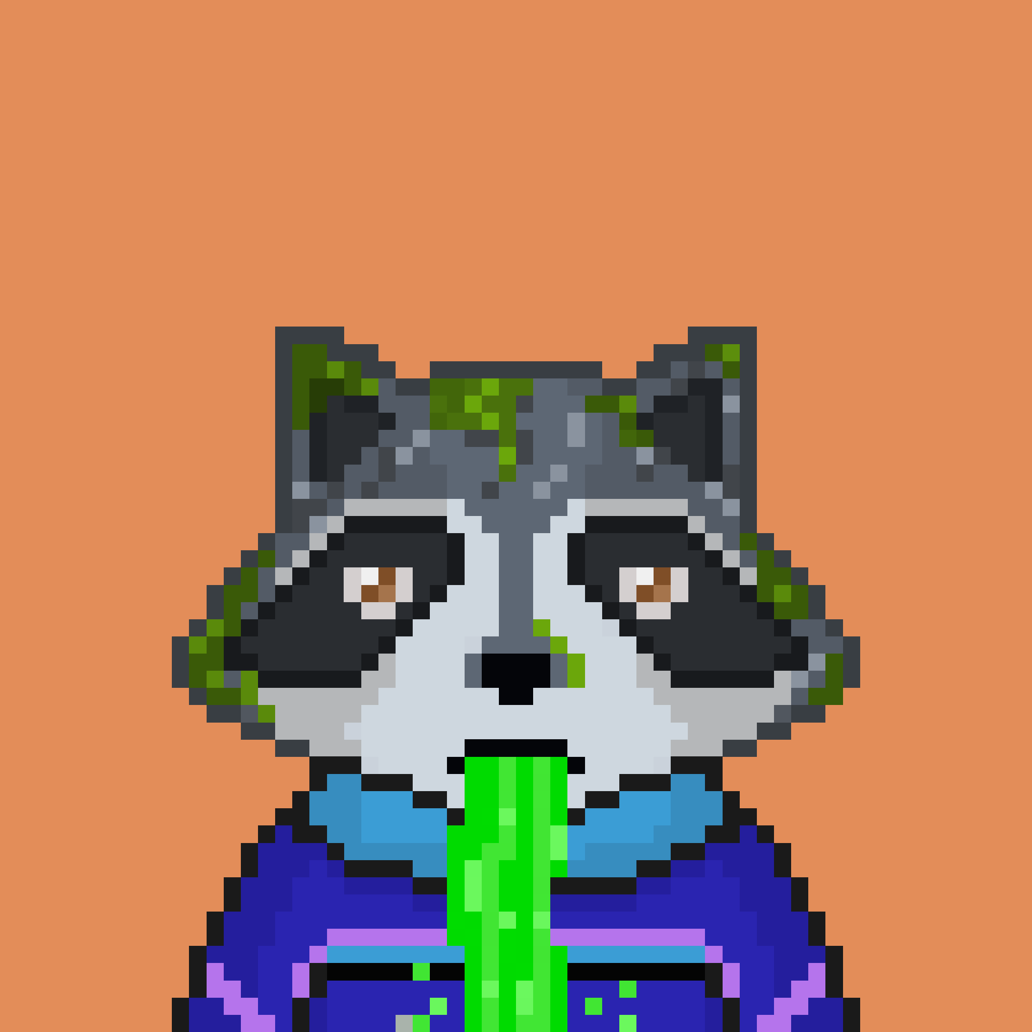 Pixel Raccoon #1578 NFT on Algorand