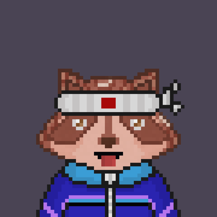 Image of Pixel Raccoon #16