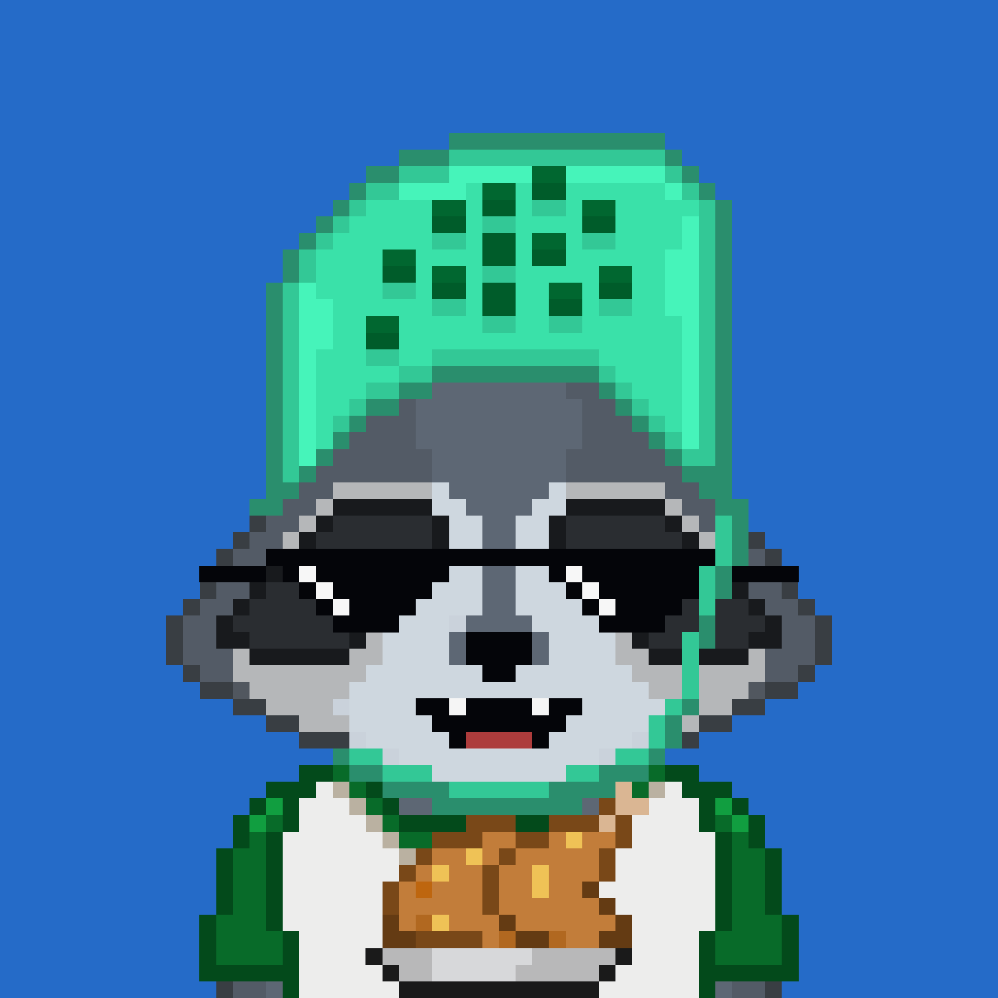 Pixel Raccoon #1604 NFT on Algorand