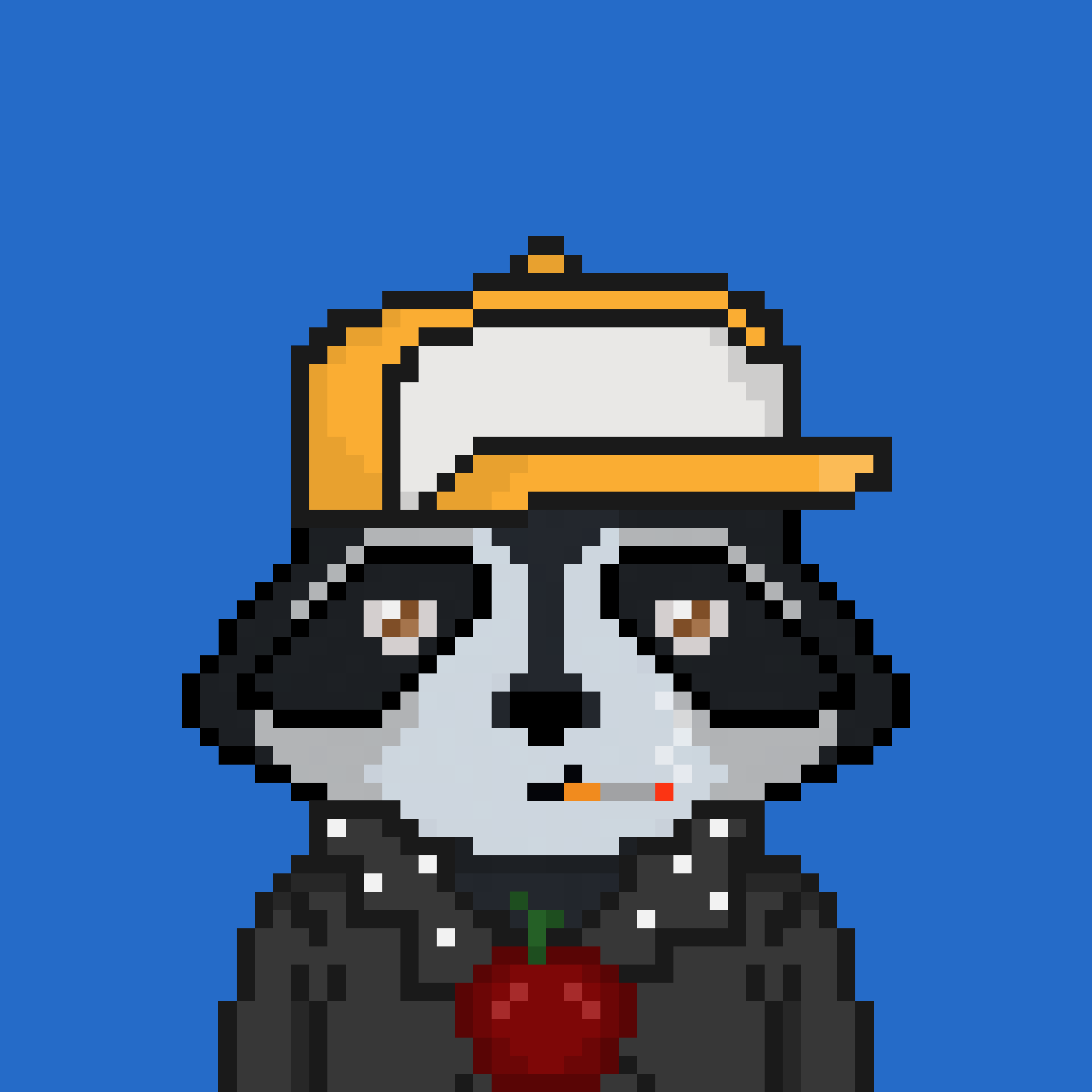 Pixel Raccoon #1623 NFT on Algorand