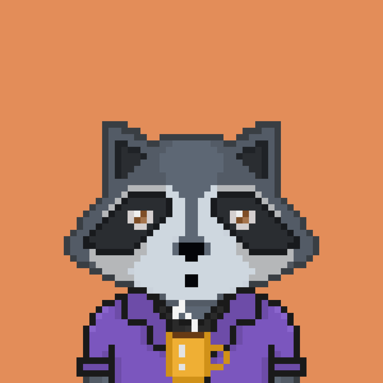 Image of Pixel Raccoon #19