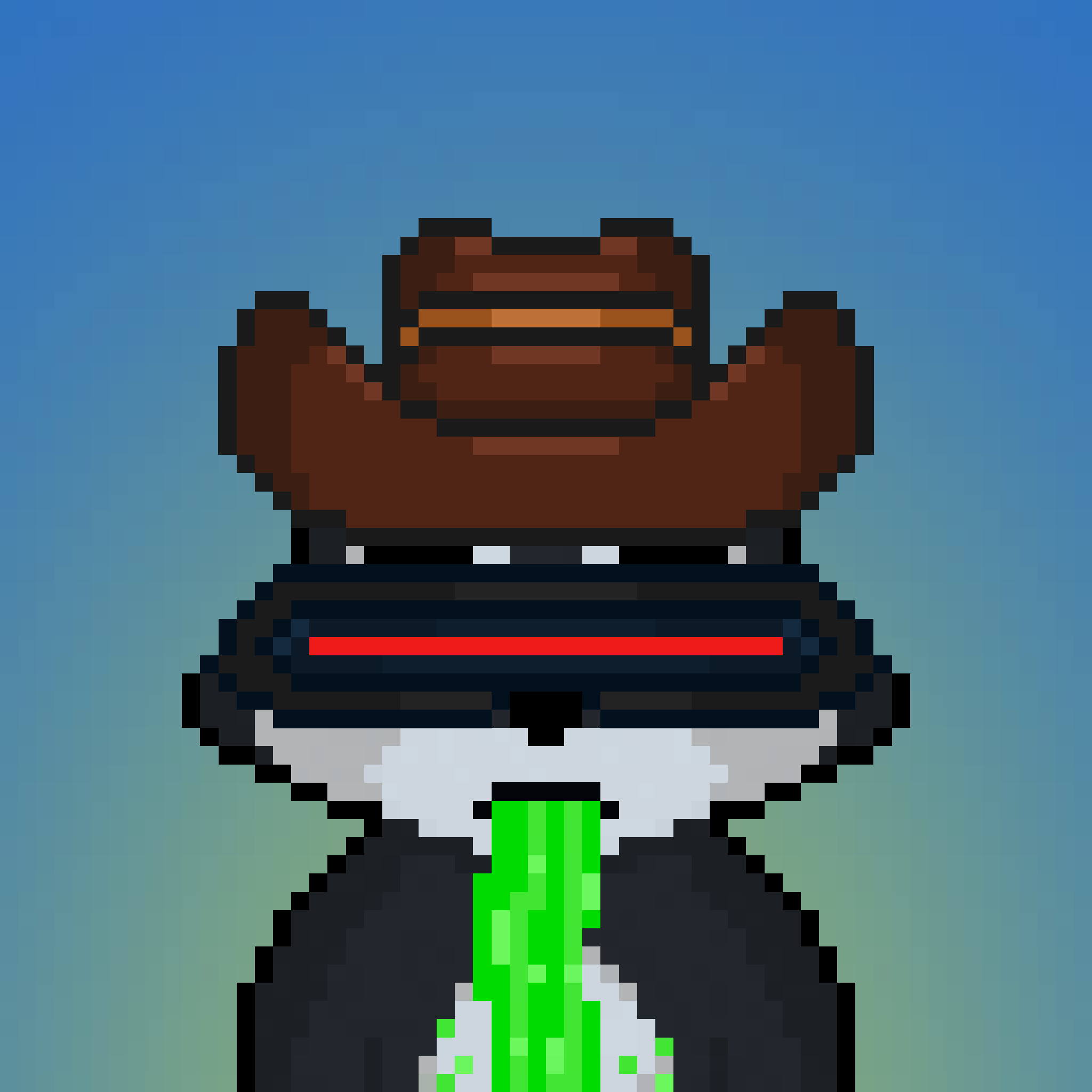 Pixel Raccoon #1991 NFT on Algorand