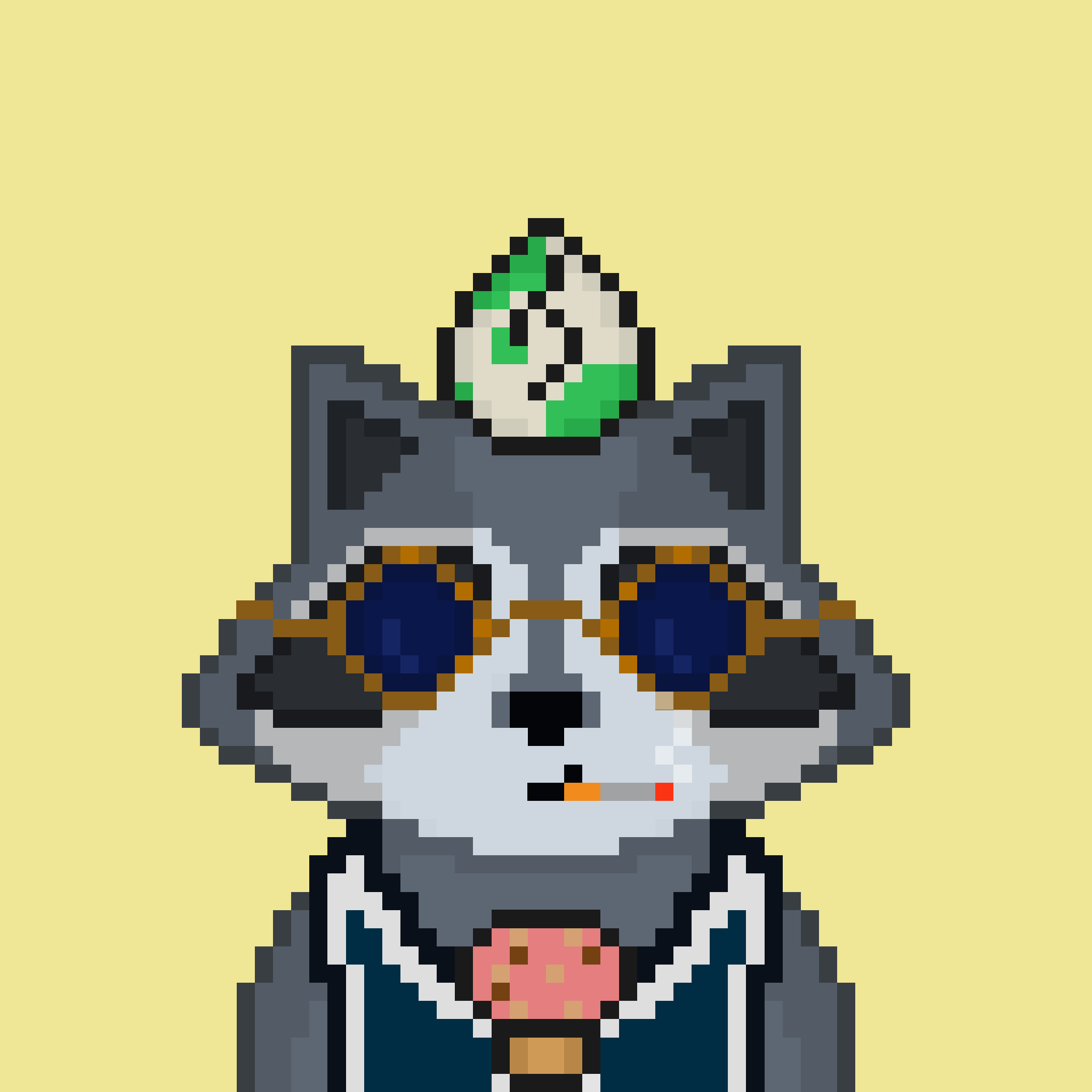Pixel Raccoon #2058 NFT on Algorand