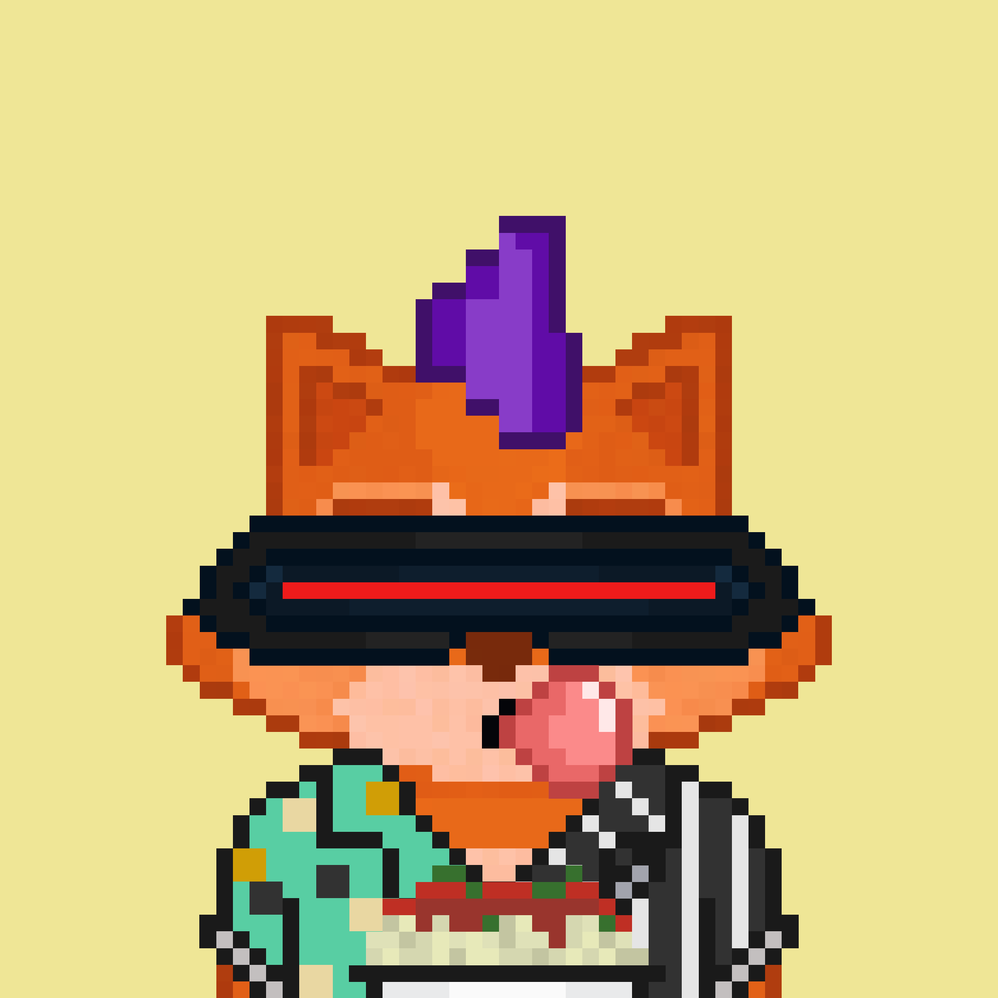 Pixel Raccoon #2072 NFT on Algorand