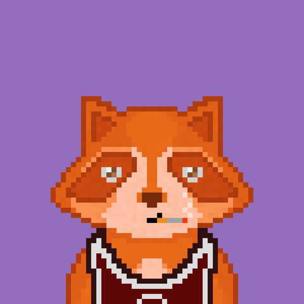 An image of Pixel Raccoon #2095