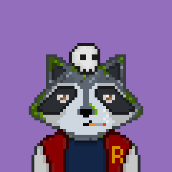 An image of Pixel Raccoon #21