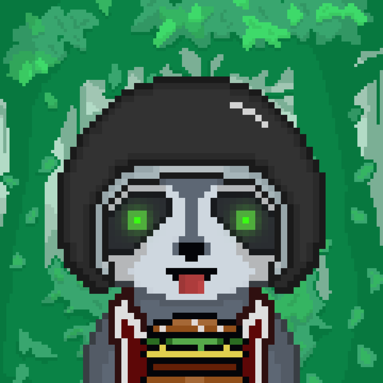 Image of Pixel Raccoon #2109