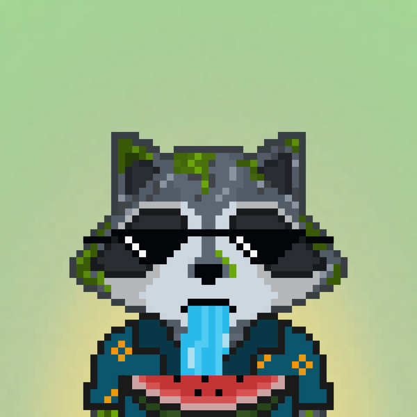 Image of Pixel Raccoon #2117