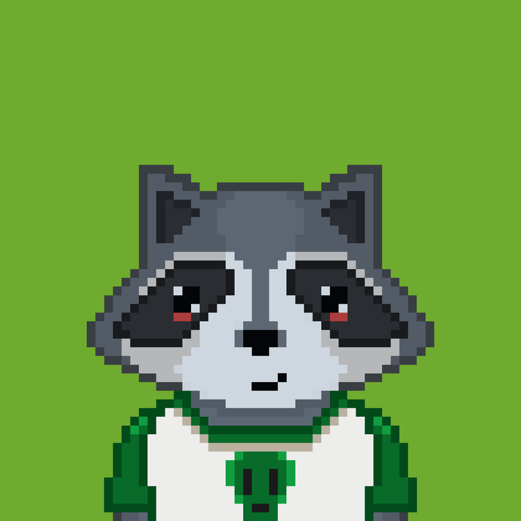 Image of Pixel Raccoon #2118