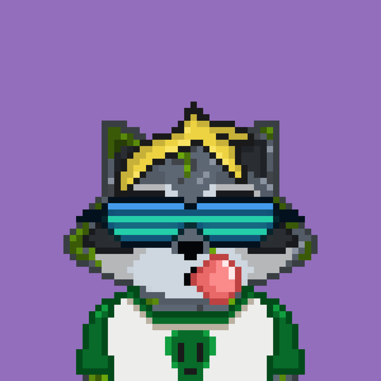 Image of Pixel Raccoon #2119