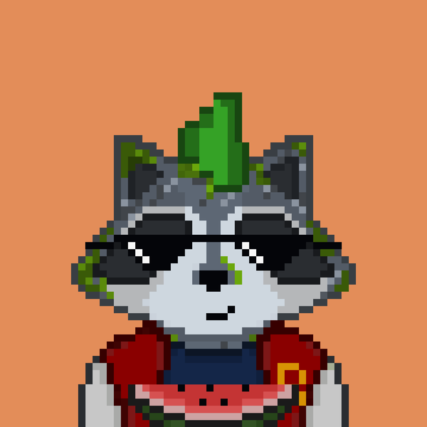 Image of Pixel Raccoon #2125