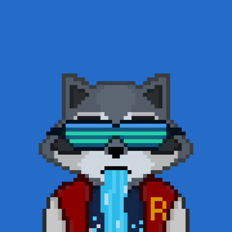 Image of Pixel Raccoon #2127