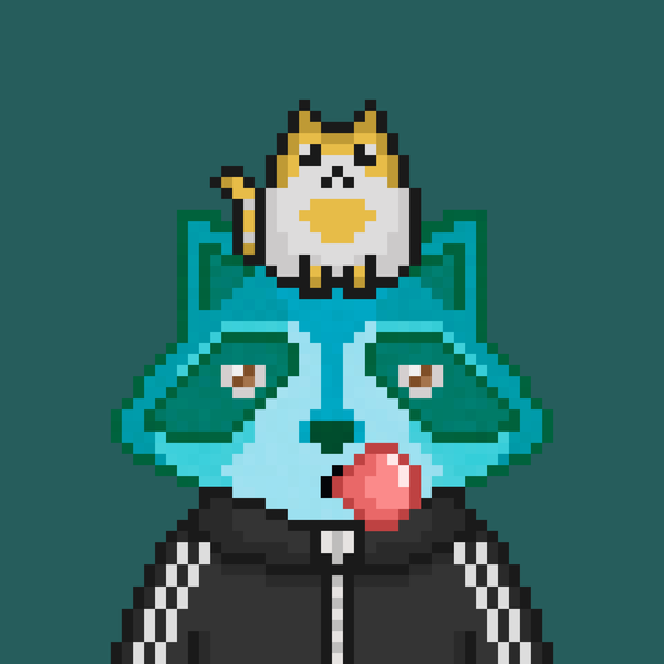 Image of Pixel Raccoon #2128