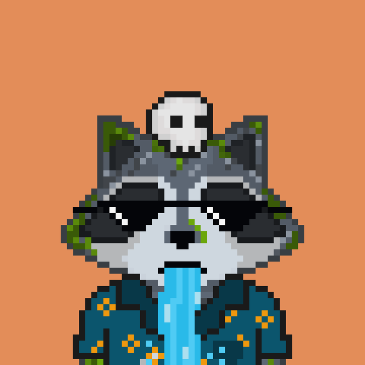 Image of Pixel Raccoon #2132