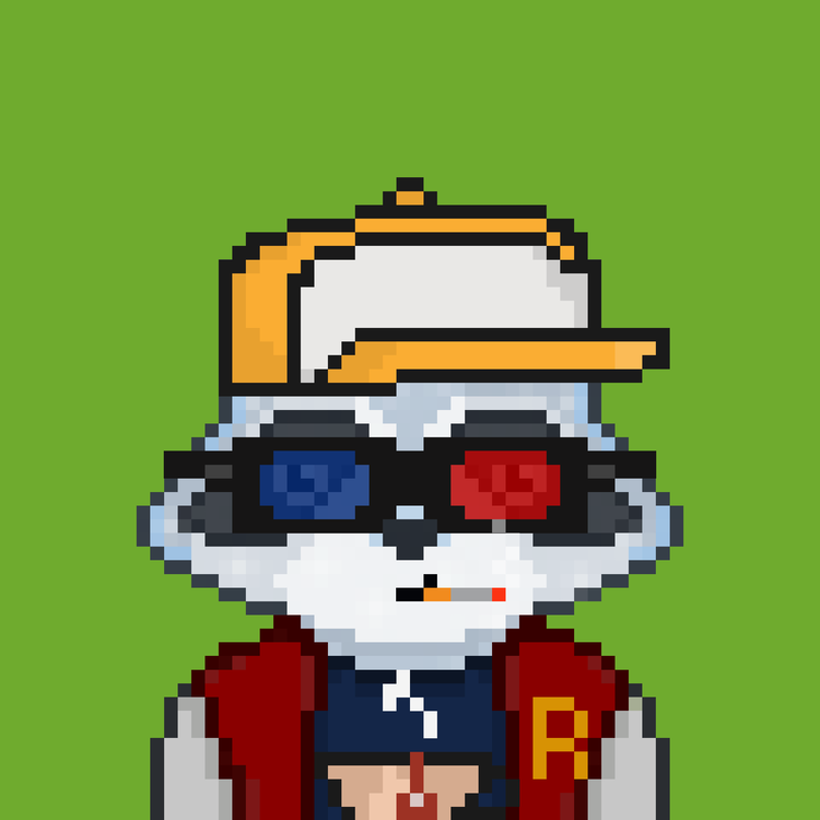 Image of Pixel Raccoon #2134