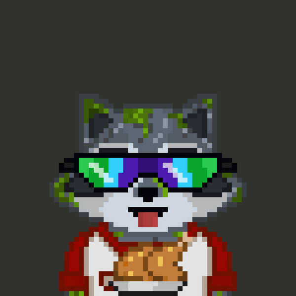 Image of Pixel Raccoon #2136