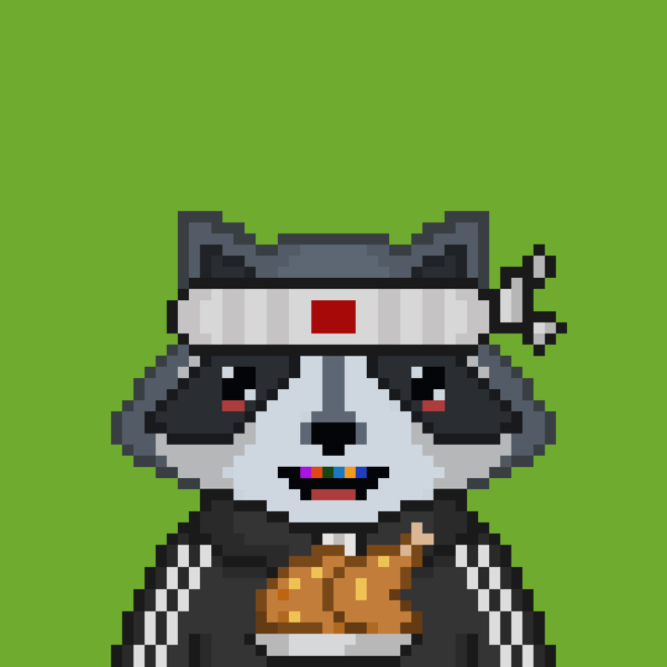 An image of Pixel Raccoon #22