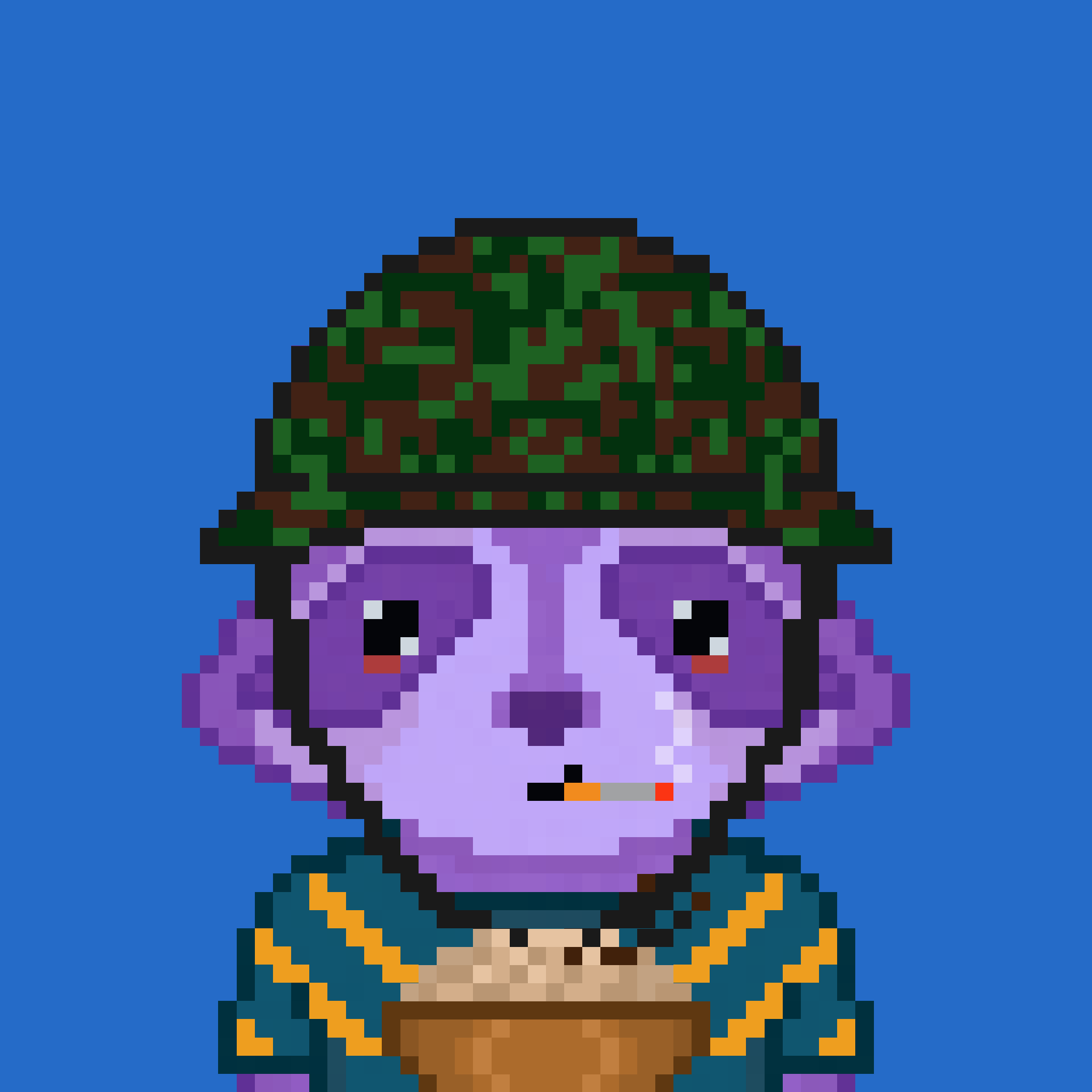 Pixel Raccoon #2216 NFT on Algorand