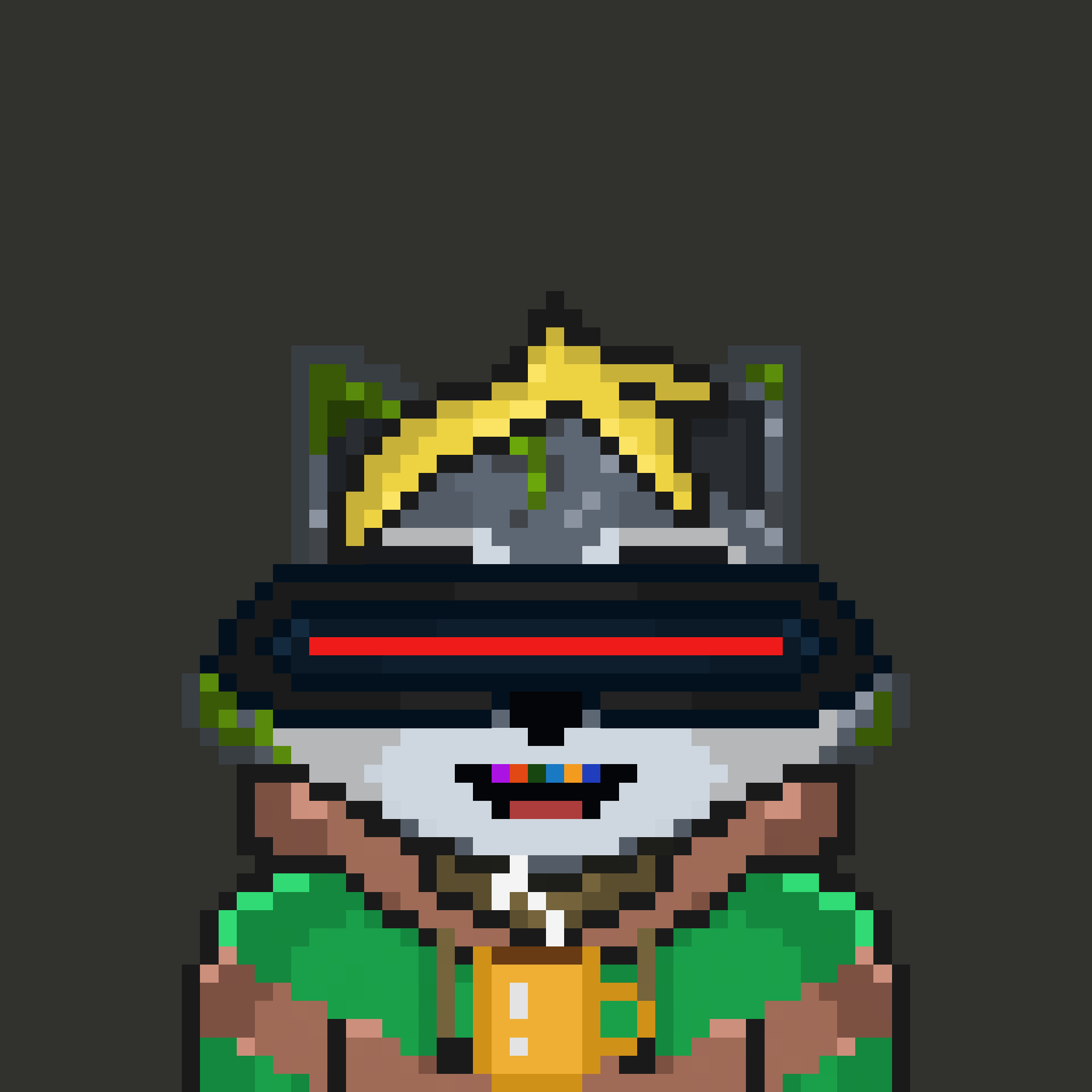 Pixel Raccoon #2219 NFT on Algorand