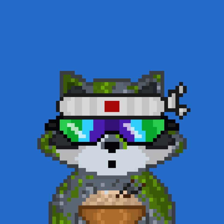 Image of Pixel Raccoon #23