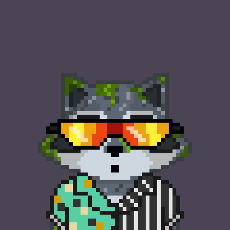 Image of Pixel Raccoon #27