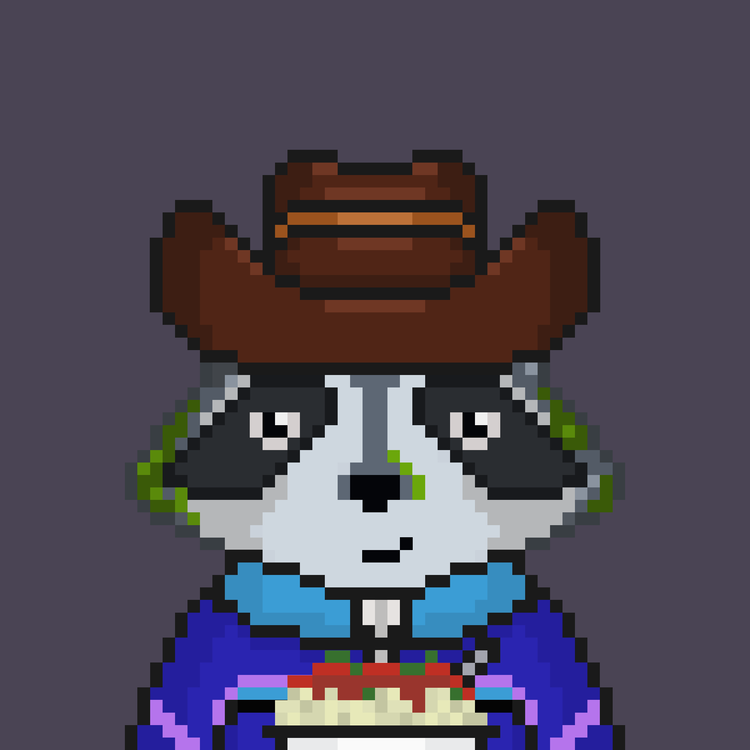 Image of Pixel Raccoon #29