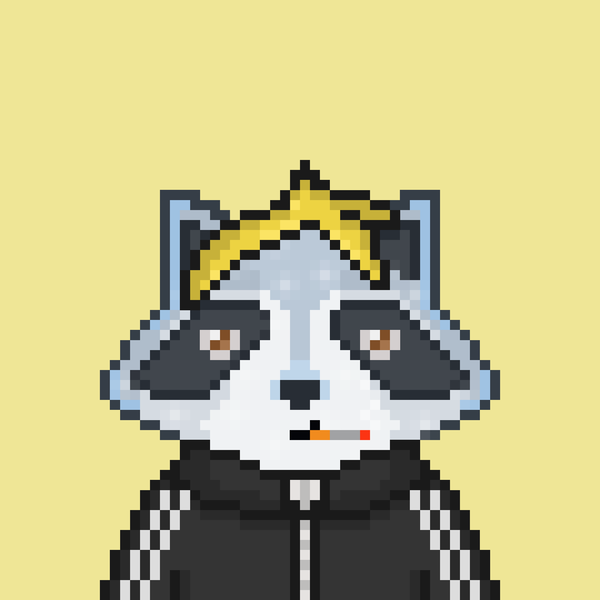 An image of Pixel Raccoon #3