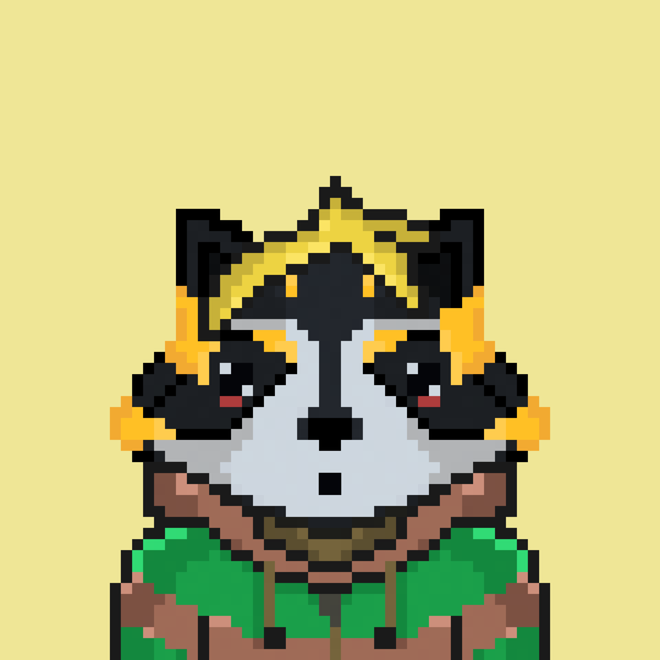 Image of Pixel Raccoon #31